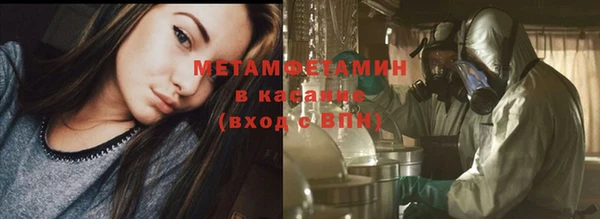 прущие грибы Корсаков