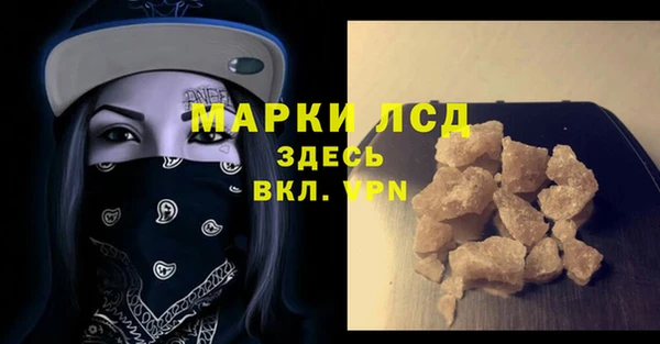 прущие грибы Корсаков