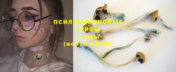 mdma Костерёво