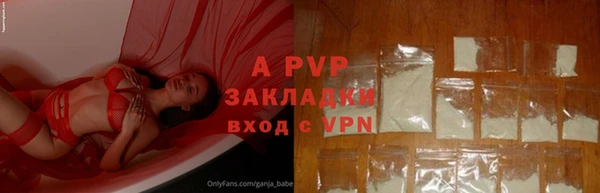 прущие грибы Корсаков