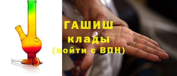 прущие грибы Корсаков