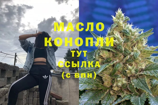 прущие грибы Корсаков