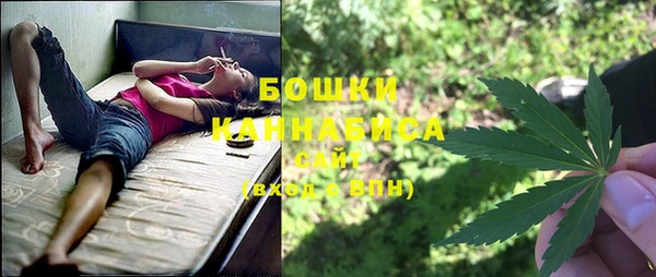 прущие грибы Корсаков