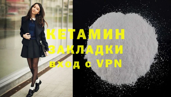 прущие грибы Корсаков