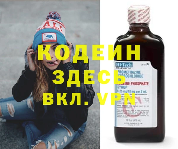 прущие грибы Корсаков