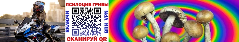 Псилоцибиновые грибы ЛСД  Купить  Лихославль 