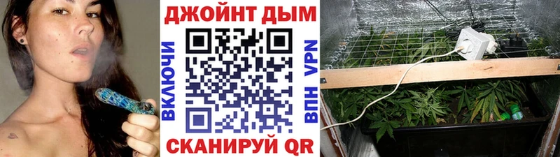 Купить закладки  Лихославль  Шишки марихуана MAZAR 